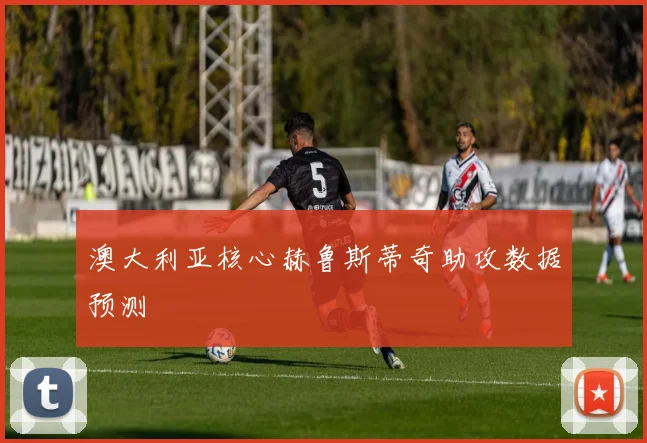 澳大利亚核心赫鲁斯蒂奇助攻数据预测