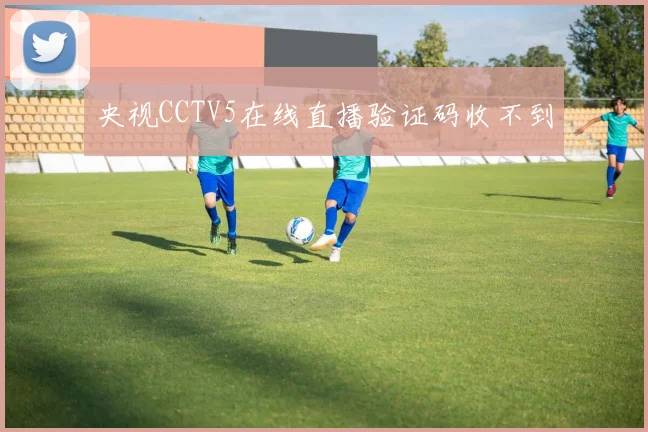 央视CCTV5在线直播验证码收不到
