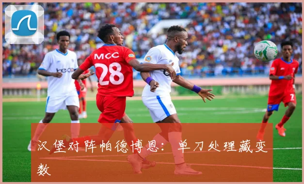 汉堡对阵帕德博恩：单刀处理藏变数