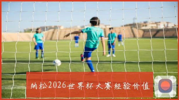 纳松2026世界杯大赛经验价值