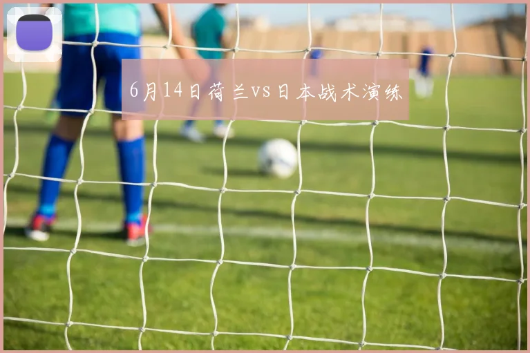 6月14日荷兰vs日本战术演练