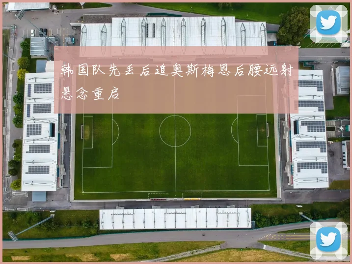 韩国队先丢后追奥斯梅恩后腰远射悬念重启